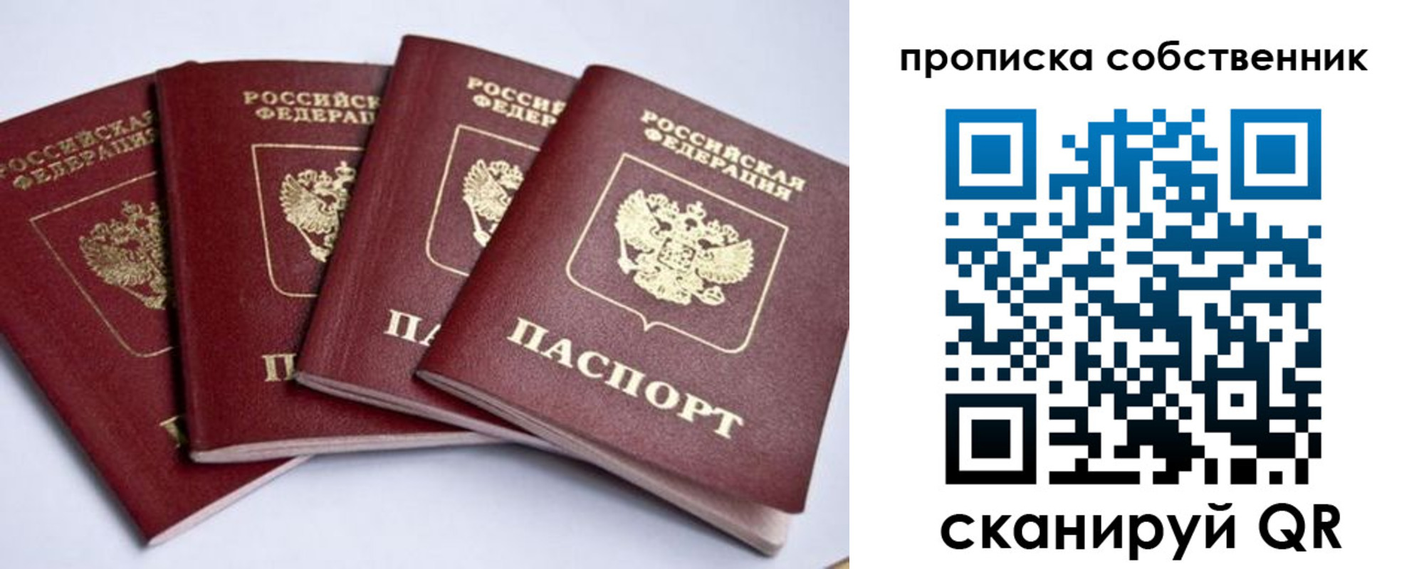 прописка для школы в Ермолино