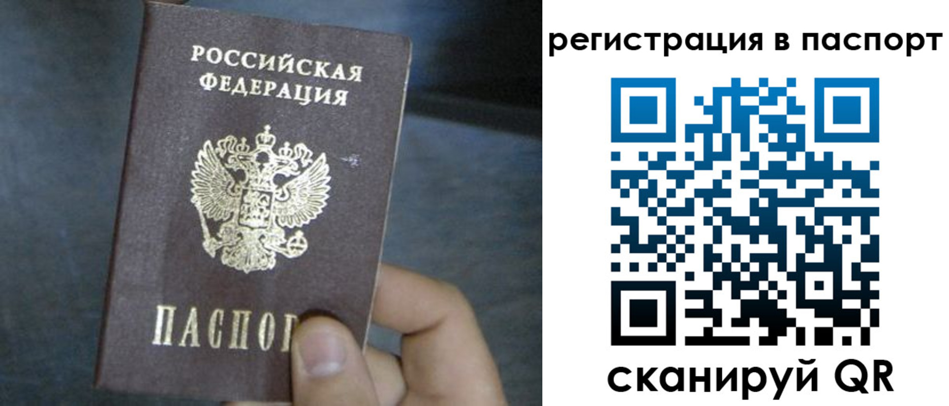 прописка 2025 в Ермолино